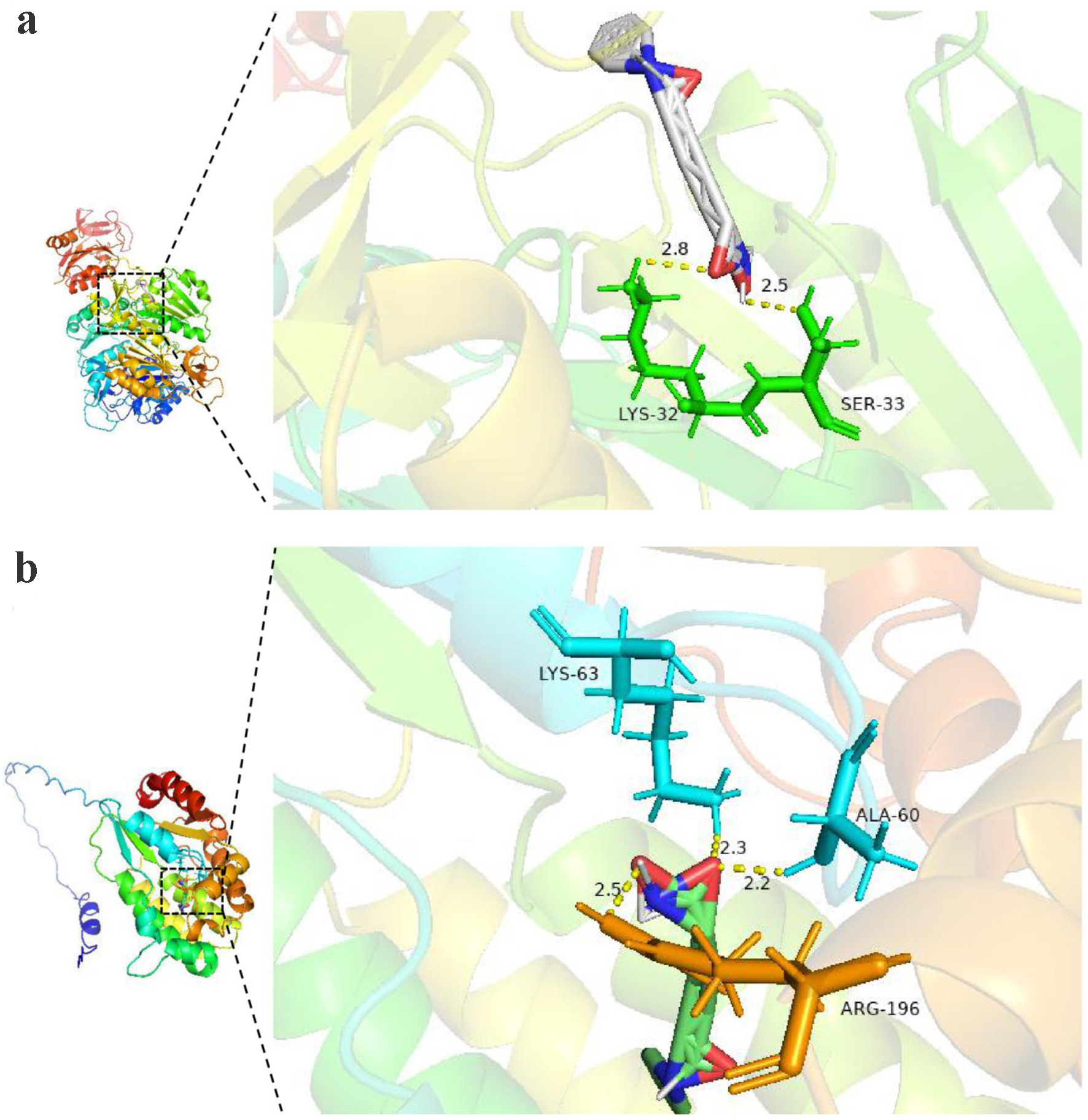 Figure 16. 